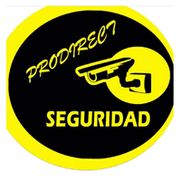 logo PRODIRECT SEGURIDAD